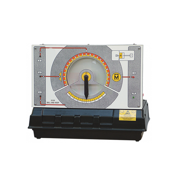 Ball and Hoop Apparatus